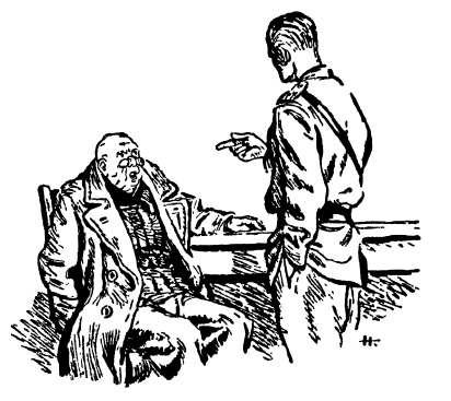 Тарантул Тарантул