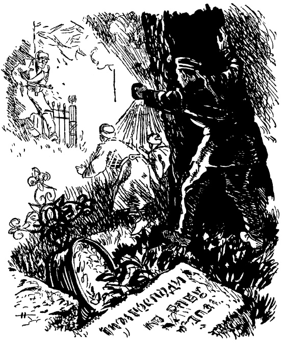 Тарантул Тарантул