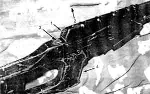 Искусство снайпера