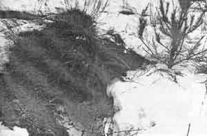 Искусство снайпера