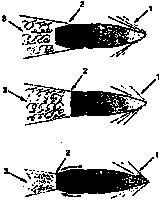 Искусство снайпера Искусство снайпера