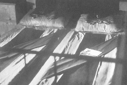 Афганский дневник Афганский дневник