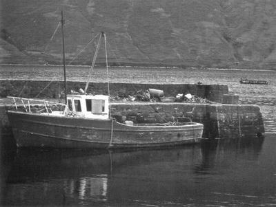 Ирландия. Прогулки по священному острову