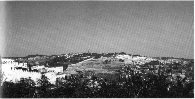 От Иерусалима до Рима. По следам святого Павла От Иерусалима до Рима. По следам святого Павла