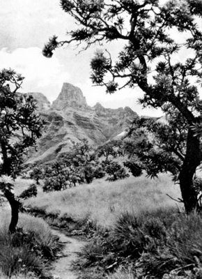 Южная Африка. Прогулки на краю света Южная Африка. Прогулки на краю света