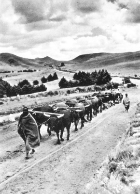 Южная Африка. Прогулки на краю света Южная Африка. Прогулки на краю света