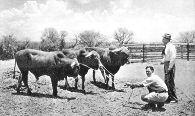 Южная Африка. Прогулки на краю света Южная Африка. Прогулки на краю света