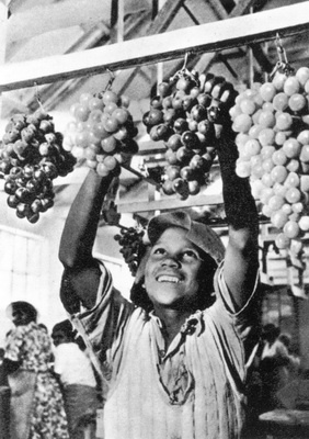 Южная Африка. Прогулки на краю света Южная Африка. Прогулки на краю света