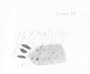 Остров в море Остров в море