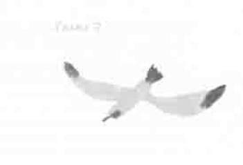 Остров в море Остров в море