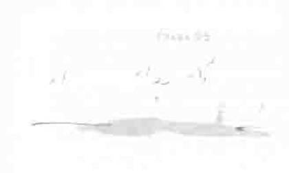 Остров в море Остров в море