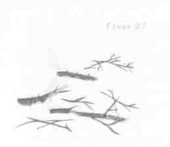 Остров в море Остров в море