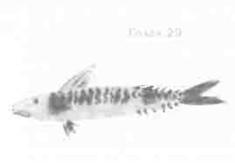 Остров в море Остров в море