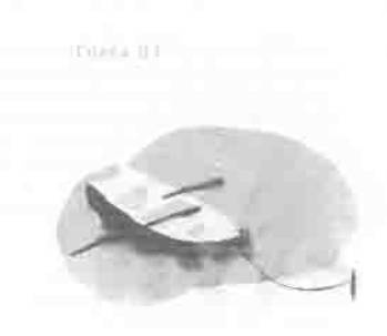 Остров в море Остров в море