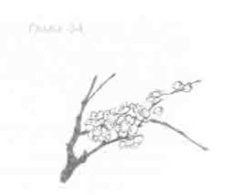 Остров в море Остров в море