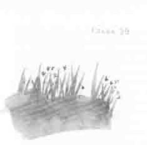 Остров в море Остров в море