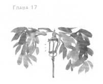 Глубина моря Глубина моря