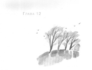 Открытое море Открытое море