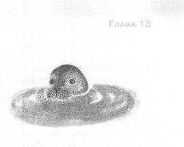 Открытое море Открытое море