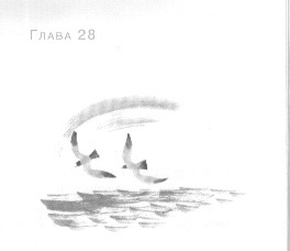 Открытое море Открытое море