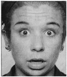 Психология эмоций. Я знаю, что ты чувствуешь Психология эмоций. Я знаю, что ты чувствуешь