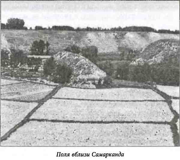 Тамерлан. Потрясатель вселенной Тамерлан. Потрясатель вселенной