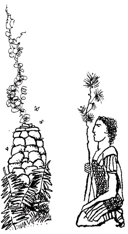 Пак с Волшебных холмов Пак с Волшебных холмов