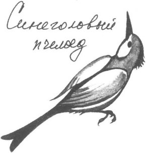 Книга птиц Восточной Африки Книга птиц Восточной Африки