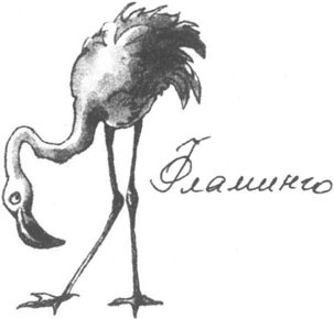 Книга птиц Восточной Африки Книга птиц Восточной Африки