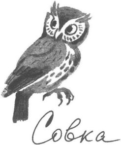 Книга птиц Восточной Африки Книга птиц Восточной Африки