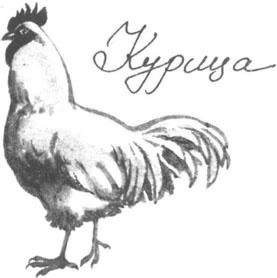 Книга птиц Восточной Африки Книга птиц Восточной Африки