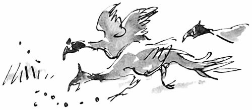 Дэнни - чемпион мира Дэнни - чемпион мира