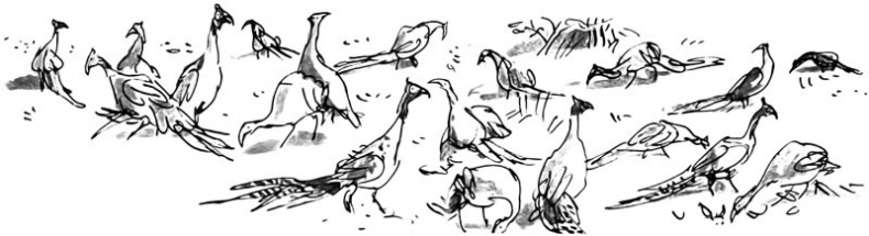 Дэнни - чемпион мира Дэнни - чемпион мира