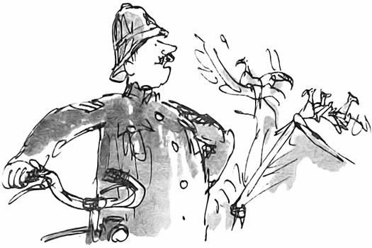 Дэнни - чемпион мира Дэнни - чемпион мира