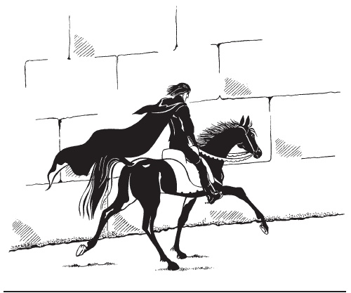 Всадник Всадник