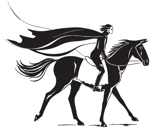 Всадник Всадник