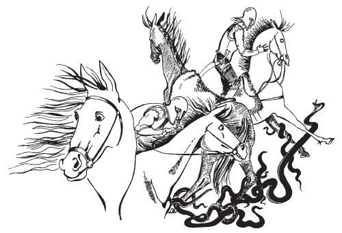 Всадник Всадник