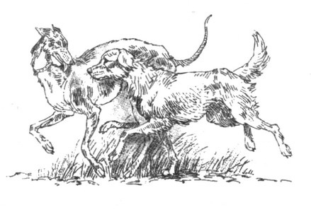 Пустой город Пустой город