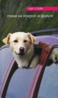 Гонки на мокром асфальте - Гарт Стайн