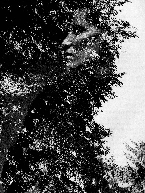 Сказки Старого Вильнюса III Сказки Старого Вильнюса III