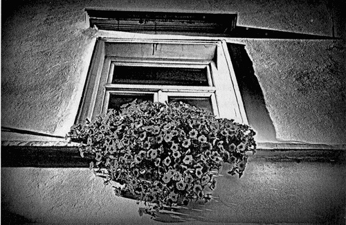 Сказки Старого Вильнюса III Сказки Старого Вильнюса III