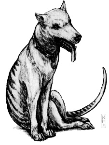 Голиаф Голиаф