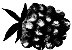 Сцены из супружеской жизни Сцены из супружеской жизни