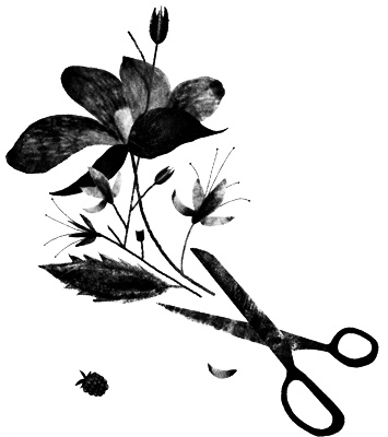 Сцены из супружеской жизни Сцены из супружеской жизни