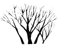 Приток крови Приток крови