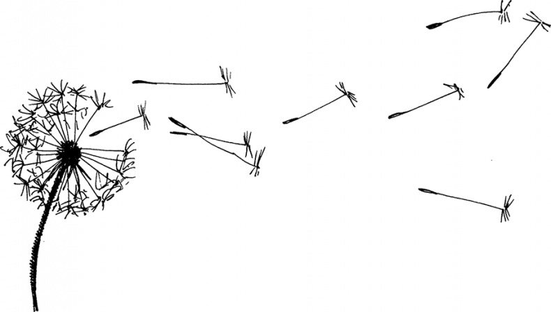 Чудо с хвостиком Чудо с хвостиком