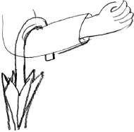 С птицей на голове