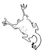 Среда обитания приличной девушки Среда обитания приличной девушки