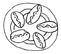 Среда обитания приличной девушки Среда обитания приличной девушки