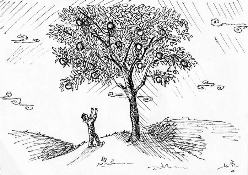 Притчи@ру. 77 сентиментальных историй Притчи@ру. 77 сентиментальных историй